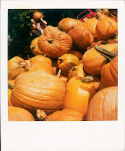 jamie livingston photo of the day October 13, 1996  Â©hugh crawford