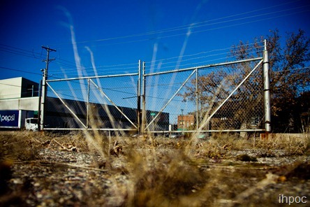 IMG_8963 IMG_8963
