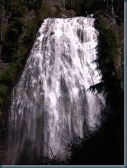 IMG_2273 IMG_2273