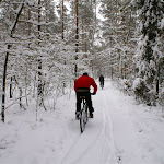 dsc03395.jpg