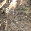 P1010017.JPG