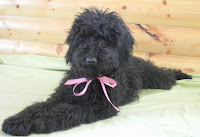 Lovely Jilly Tilly.