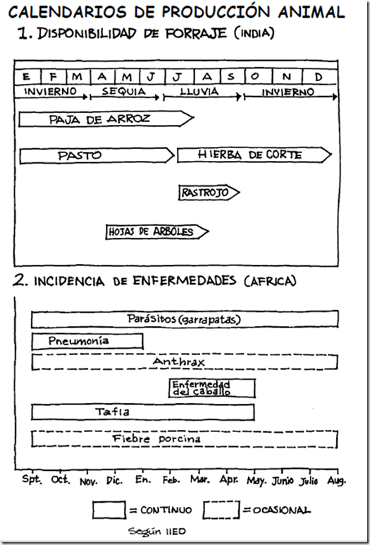 Calendario de Producción Animal