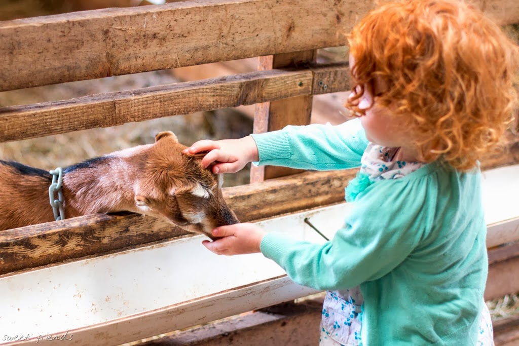 [IMG_0801%255B22%255D.jpg]