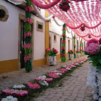 Festa dos Tabuleiros