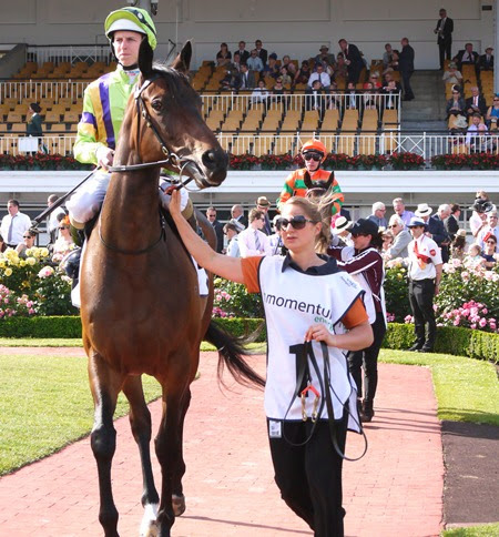 race 8_solicit 3 race 8_solicit 3
