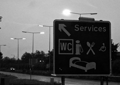 Services