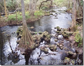 Hillsborough River State Park 016