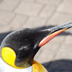 hokkaido_310.jpg