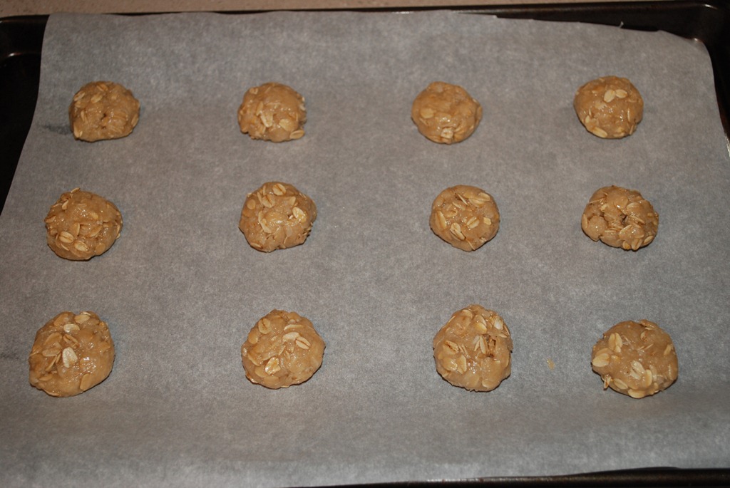 [DSC_1565%255B3%255D.jpg]