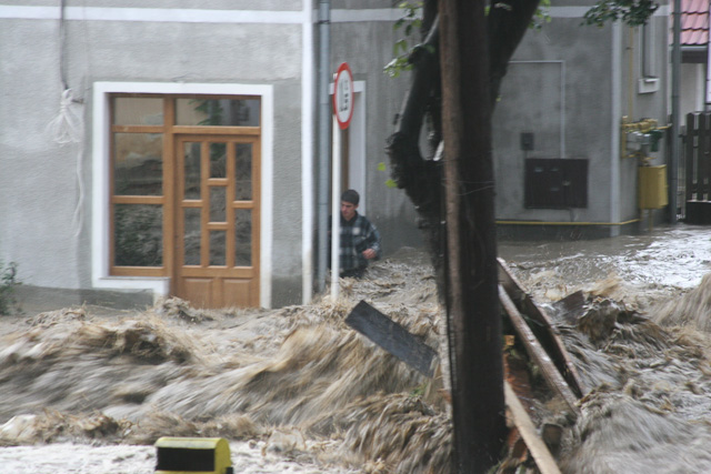 arviz2005_07.jpg