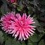DSC06248.JPG