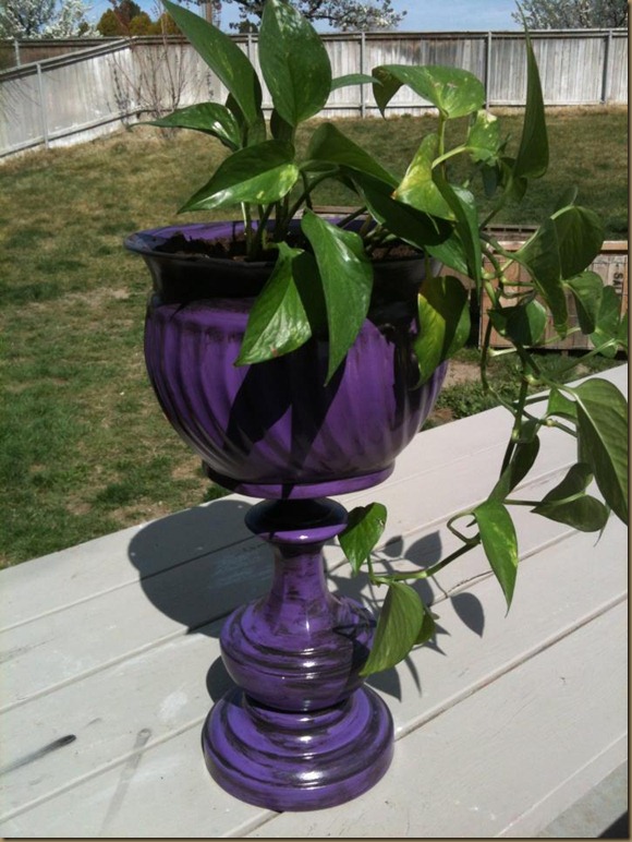 Purple Pathos
