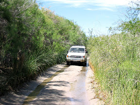 We found a lot of water in one part of the otherwise bone-dry wash