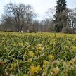 DSC00260.JPG