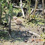 DSCN9501.JPG