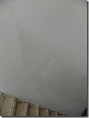painting  12