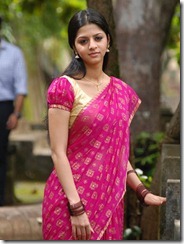 vedika in rose saree