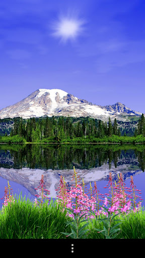 Mount Rainier Live Wallpaper