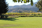 Rutherford Grove Winery is absolutely stunning in its simplicity. Five minutes off the St.Helena highway, the views of the mountains just suck you right in. Rutherford Grove Winery is absolutely stunning in its simplicity. Five minutes off the St.Helena highway, the views of the mountains just suck you right in.