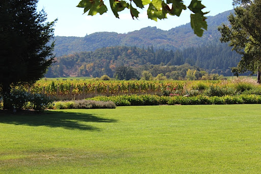 Rutherford Grove Winery is absolutely stunning in its simplicity. Five minutes off the St.Helena highway, the views of the mountains just suck you right in. Rutherford Grove Winery is absolutely stunning in its simplicity. Five minutes off the St.Helena highway, the views of the mountains just suck you right in.