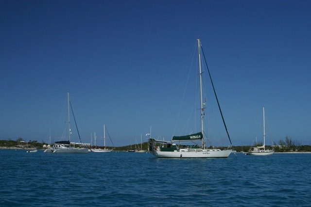 [IMG_00872.jpg]