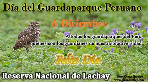 Guardas