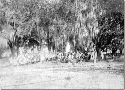 MemDayMicanopy MemDayMicanopy