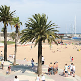 IMG_9171.jpg