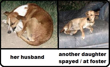 [aniac26%255B3%255D.jpg]