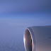 R0030849.JPG