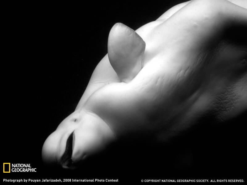 PHOTOS FROM NATIONAL GEOGRAPHIC