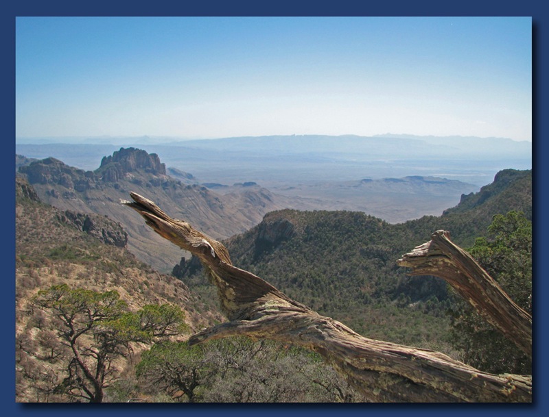 View from the top of Emory Peak edited 1