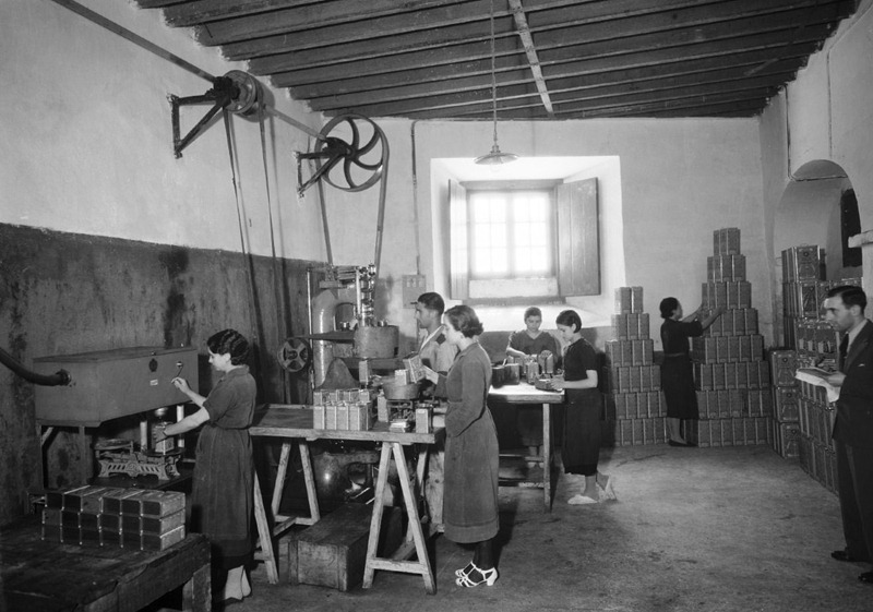 [Azeites%2520Flor%2520do%2520Minho%2520%2528J.Sanchez%2520Hernandez%252C%2520Lda.%2529%255B10%255D.jpg]