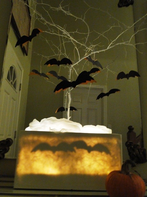 [bat%2520tree%255B2%255D.jpg]