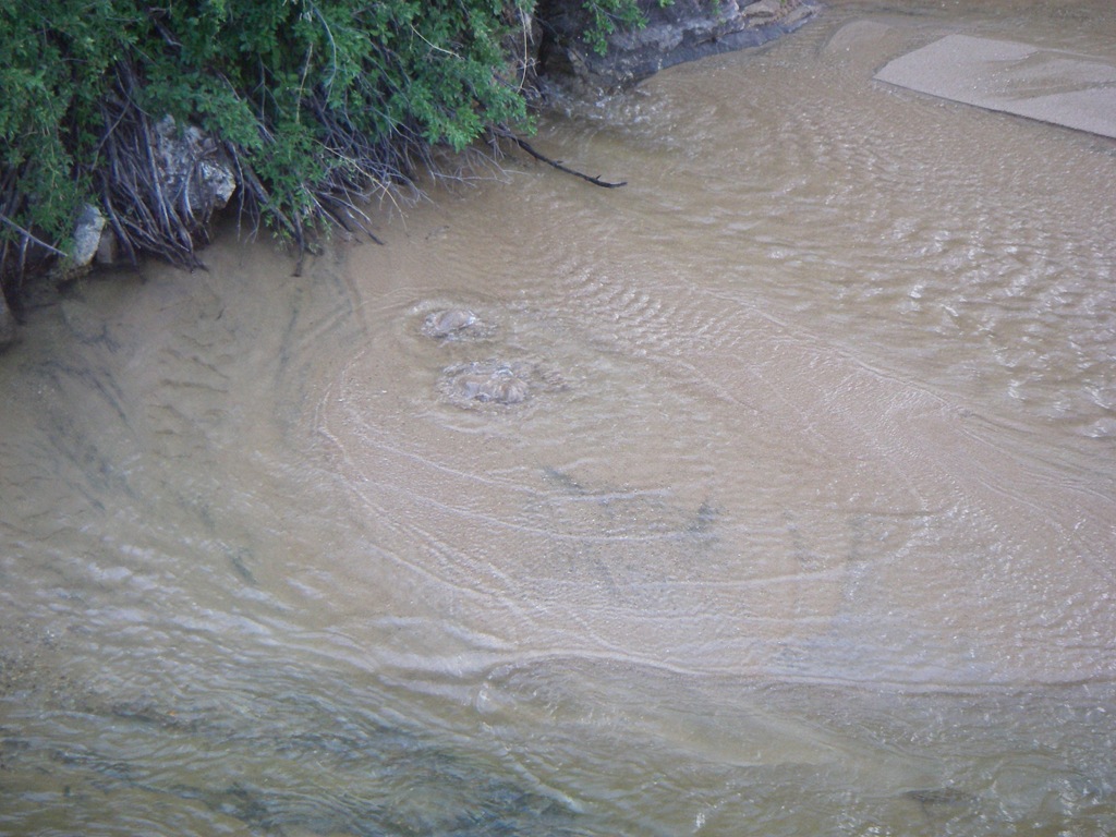 [IMGP0062%255B4%255D.jpg]