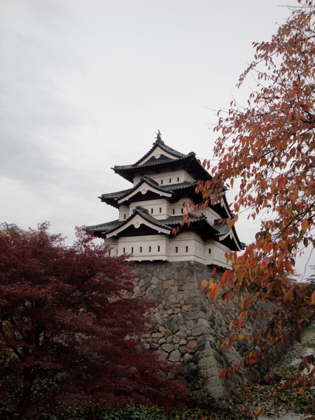 DSC03370.jpg DSC03370