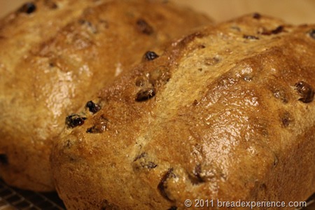 spelt-bread-pecans-raisins_0457 spelt-bread-pecans-raisins_0457