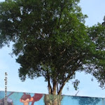 DSC01084.JPG
