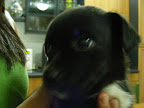 DSCF0469.JPG