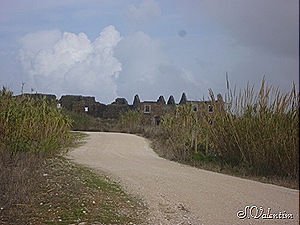 [P11202103.jpg]