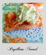 papillons-noeuds_3
