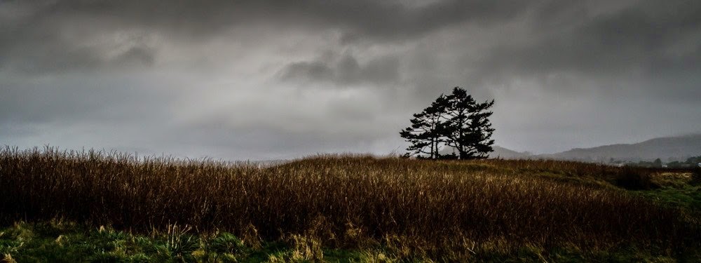 [DSC_0119%255B4%255D.jpg]