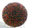 2012 Bwg birthday - BH15birthday-7.jpg