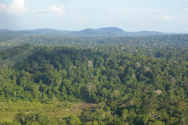 Paysage près de Saül (Guyane). 29 novembre 2011. Photo : J.-M. Gayman