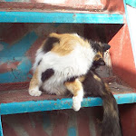 03.jpg