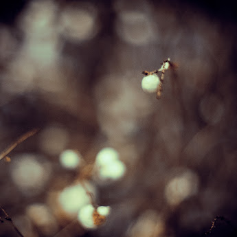 2013-03-27.jpg