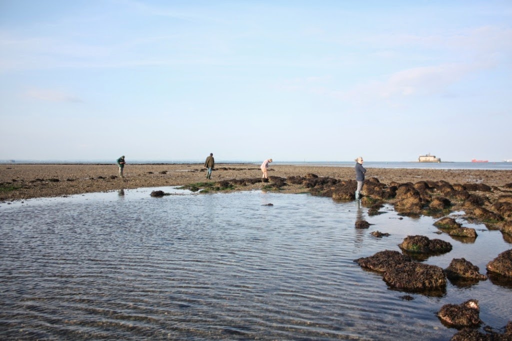 [IMG_9452%255B3%255D.jpg]