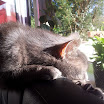 2012-03-25 17.33.52.jpg