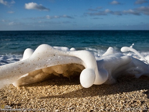 wallpapers national geographic desbaratinando (11) wallpapers national geographic desbaratinando (11)
